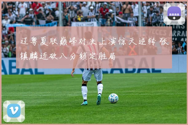 辽粤夏联巅峰对决上演惊天逆转 张镇麟连砍八分锁定胜局
